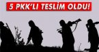 Şırnak\'ta 5 PKK\'lı teslim oldu