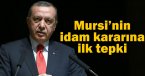 Erdoğan\'dan Mursi\'nin idam kararına ilk tepki