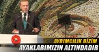 Erdoğan: ‘Ayrımcılık bizim ayaklarımızın altındadır’