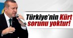 Erdoğan yineledi: \'Türkiye’nin Kürt sorunu yoktur\'
