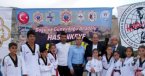 Hasankeyf\'teki Hapkido Şampiyonası\'nda 105 Sporcu Mücadele Etti