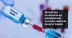 Türkiye'deki koronavirüs aşı çalışmalarında hayvanlar üzerinde deneyler başladı
