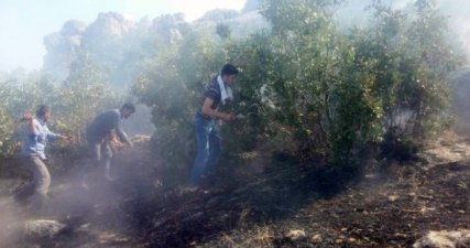 Silvan'da 6 Altı Köyde Yangın Çıktı