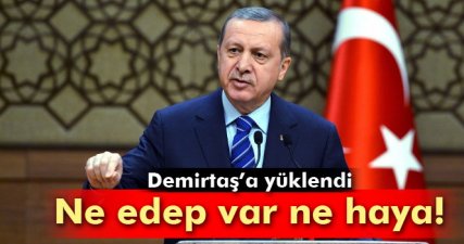 Cumhurbaşkanı Demirtaş'a yüklendi: 'Ne edep var ne haya!'