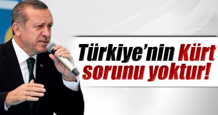 Erdoğan yineledi: 'Türkiye’nin Kürt sorunu yoktur'
