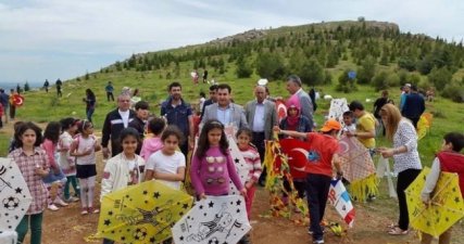 Ergani'de Uçurtma Şenliği