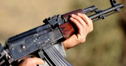 Muş'ta 2 PKK'lı öldürüldü!