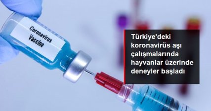 Türkiye'deki koronavirüs aşı çalışmalarında hayvanlar üzerinde deneyler başladı